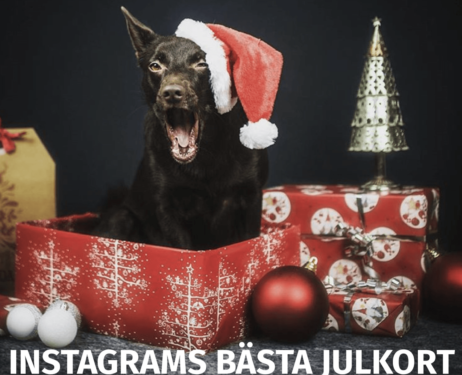 Instagrams bästa julkort!