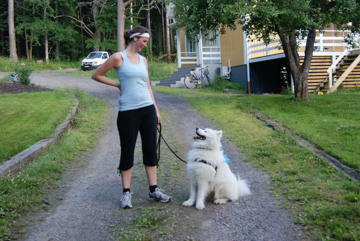 Öka din hunds välmående genom enkel träning på promenaden